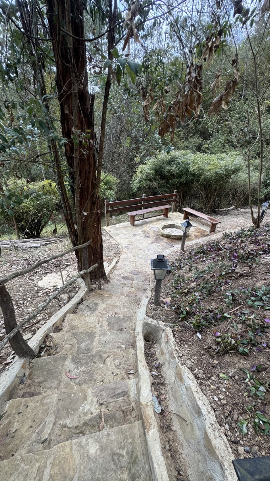 Fogatero de piedra con bancos de madera entre los árboles