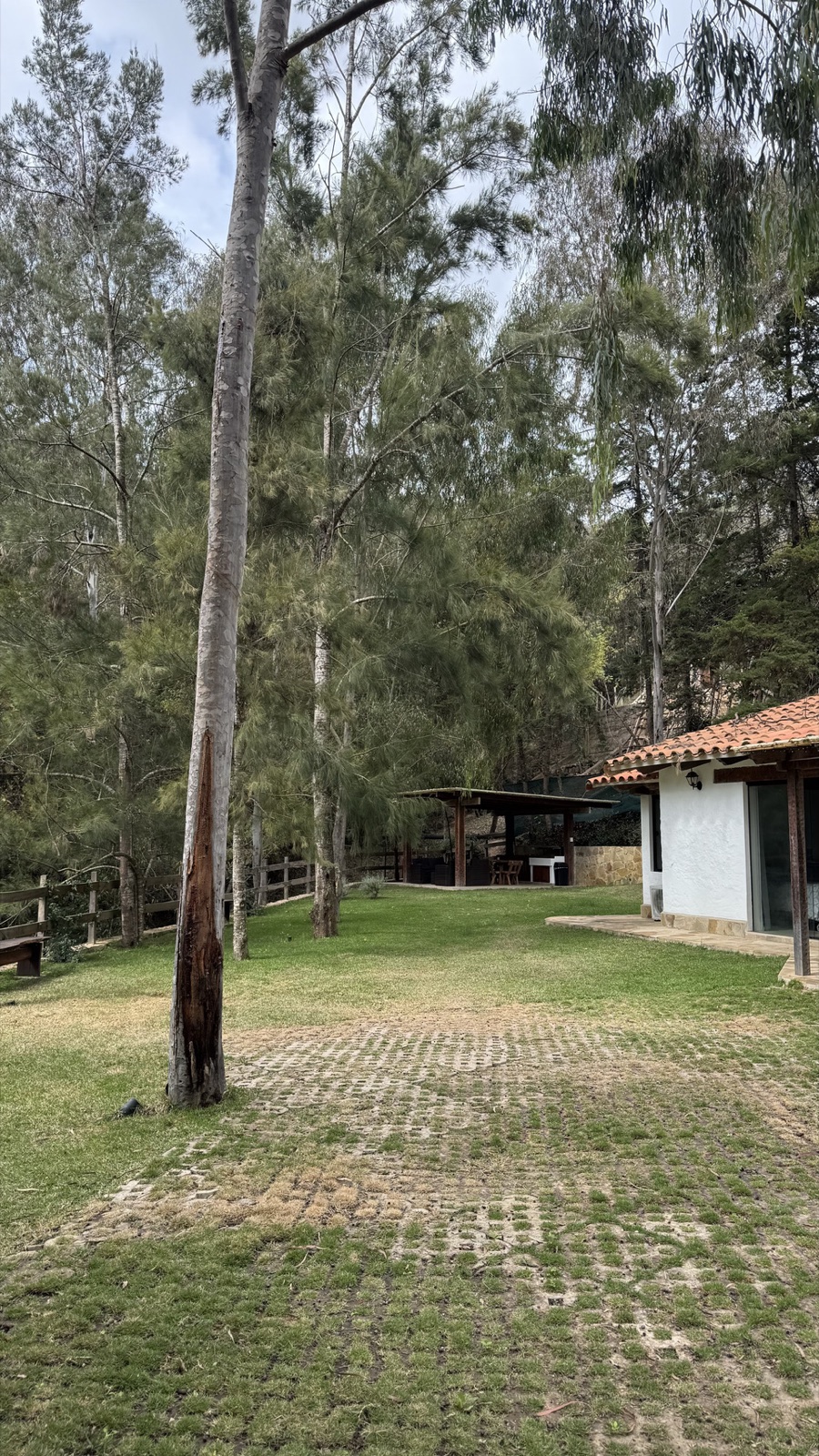 Amplio jardín con árboles y la cabaña al fondo